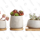 Succulent Cactus Pot, Concrete Planter Pot | $12 | Amazon | Code RACCCP01